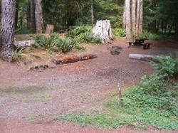 Staircase Campground Site  28 - Olympic National Park