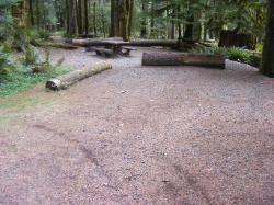 Staircase Campground Site  29 - Olympic National Park