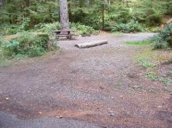 Staircase Campground Site  30 - Olympic National Park