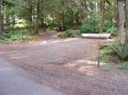 Staircase Campground Site  31 - Olympic National Park