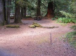 Staircase Campground Site  33 - Olympic National Park