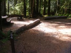 Staircase Campground Site  34 - Olympic National Park
