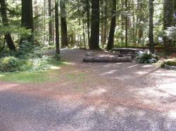 Staircase Campground Site  35 - Olympic National Park