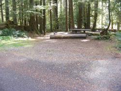 Staircase Campground Site  36 - Olympic National Park
