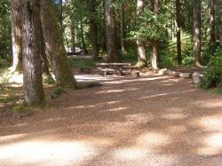 Staircase Campground Site  37 - Olympic National Park