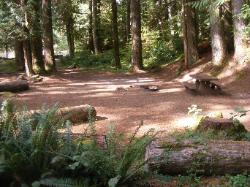 Staircase Campground Site  38 - Olympic National Park