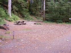 Staircase Campground Site  40 - Olympic National Park