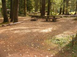 Staircase Campground Site  41 - Olympic National Park