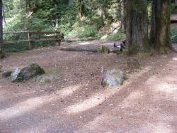 Staircase Campground Site  42 - Olympic National Park