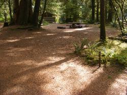 Staircase Campground Site  43 - Olympic National Park