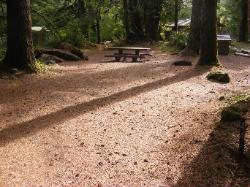 Staircase Campground Site  44 - Olympic National Park