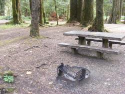 Staircase Campground Site  47 - Olympic National Park