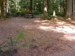 Staircase Campground Site  47 - Olympic National Park