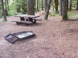 Staircase Campground Site  49 - Olympic National Park
