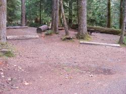 Staircase Campground Site  48 - Olympic National Park