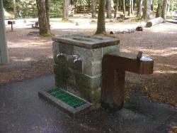 Staircase Campground Water  - Olympic National Park