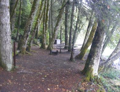 Walk-In Camping Fairholme Campground Olympic National Park
