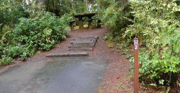 Willaby Campground Olympic National Park Site 02