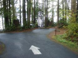 Willaby Campground Olympic National Park Site 04