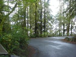 Willaby Campground Olympic National Park Site 05