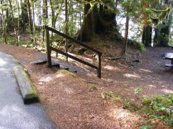 Willaby Campground Olympic National Park Site 07