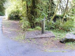 Willaby Campground Olympic National Park Site 11