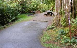 Willaby Campground Olympic National Park Site 20