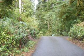 Willaby Campground Olympic National Park Site 21