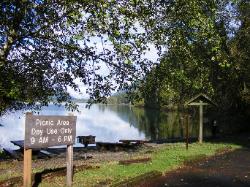 Willaby Campground Day Use Area Lake Quinault Olympic National Park
