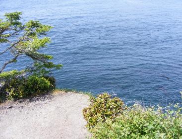 Cape Flattery 