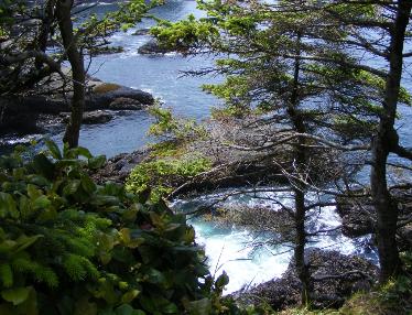 Coastline at Cape Flattery near Olympic National Park