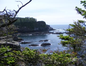 Coastline at Cape Flattery near Olympic National Park