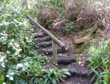 Cape Flattery Olympic National Park 