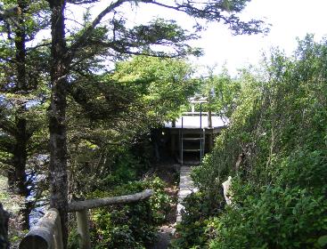 Cape Flattery Viewpoint Olympic NP