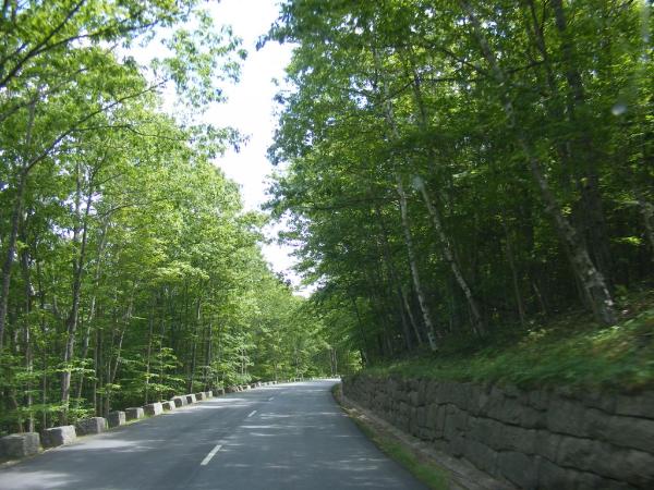 ACADIA PARK LOOP ROAD