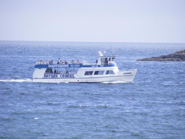 ACADIAN NATURE CRUISE