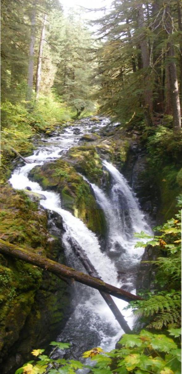Sol Duc Falls