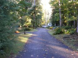 Driving Loop A Hoh Rain Forest Campground Olympic