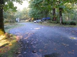 Driving Loop A Hoh Rain Forest Campground Olympic