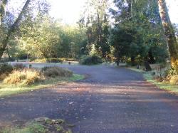 Driving Loop A Hoh Rain Forest Campground Olympic