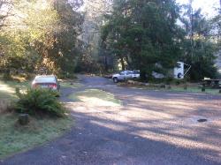 Driving Loop A Hoh Rain Forest Campground Olympic