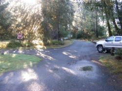 Driving Loop A Hoh Rain Forest Campground Olympic