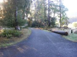 Driving Loop A Hoh Rain Forest Campground Olympic