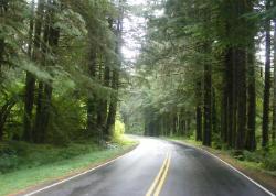 Sol Duc Road