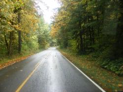 Sol Duc Road