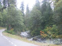 Sol Duc Road