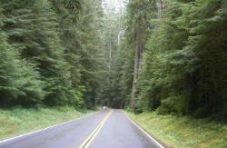 Sol Duc Road