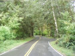 Sol Duc Road