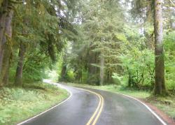 Sol Duc Road