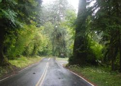 Sol Duc Road